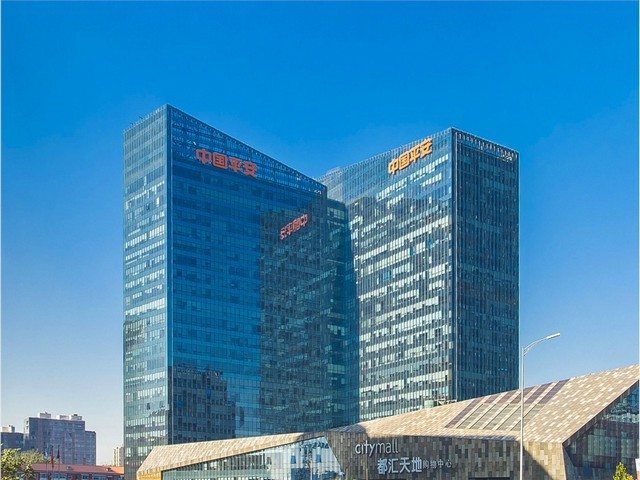 和平区项目计算机咨询报价